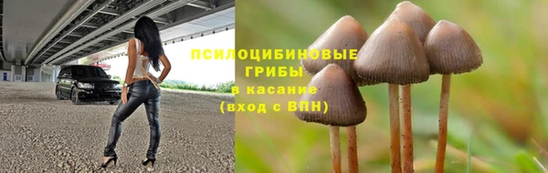 гашиш Арсеньев
