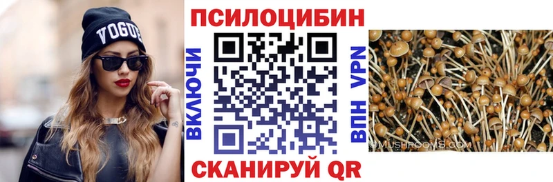 дарнет шоп  Старая Русса  Галлюциногенные грибы мицелий 